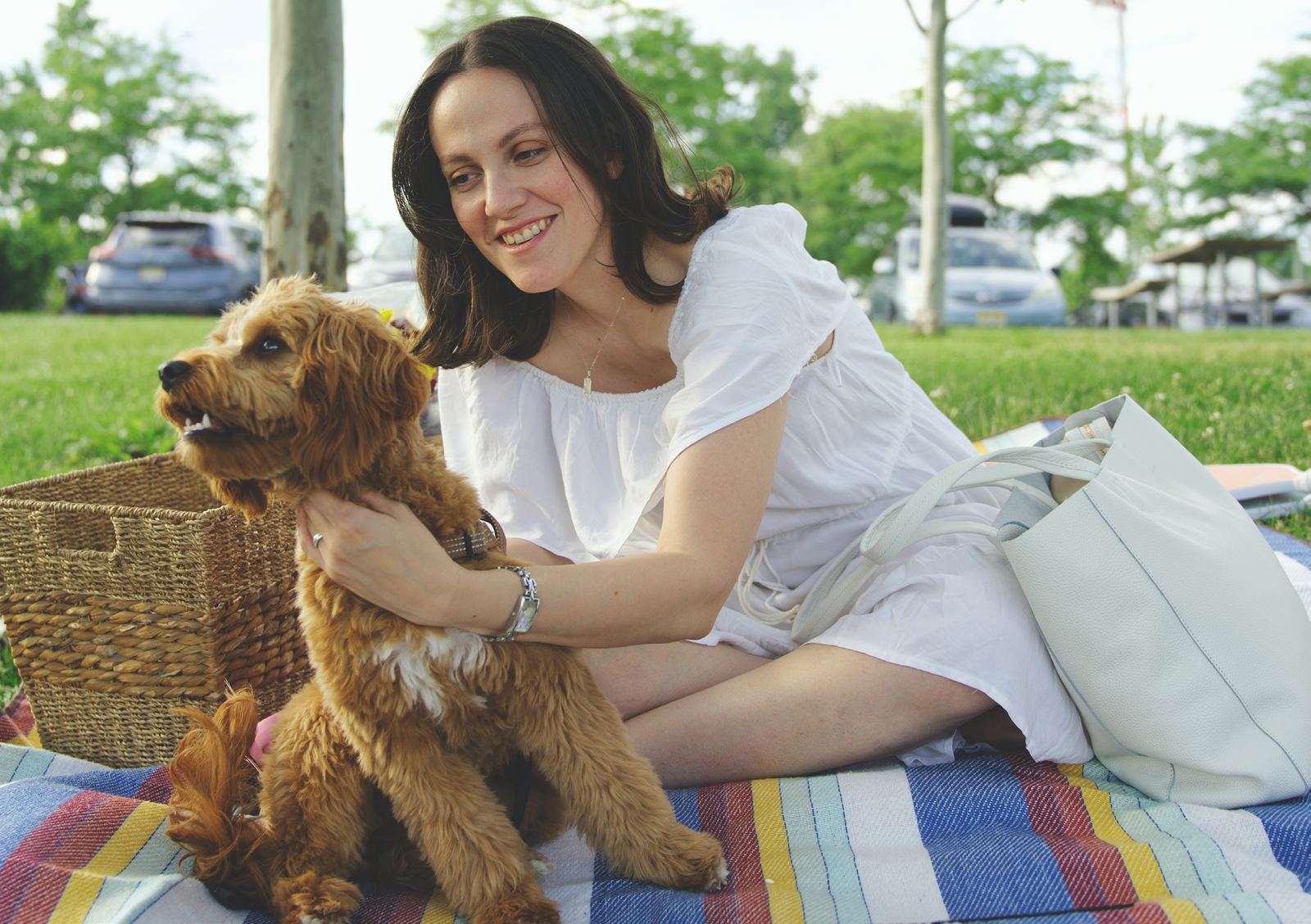 The Essex Tote on a picnic blanket in the park